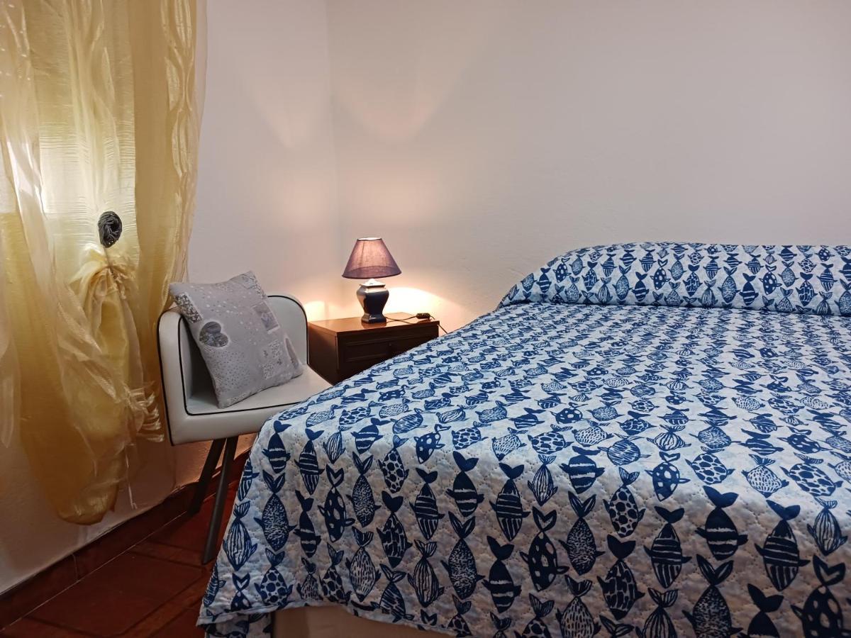 Nora Casa Vacanze/Bed And Breakfast 풀라 외부 사진